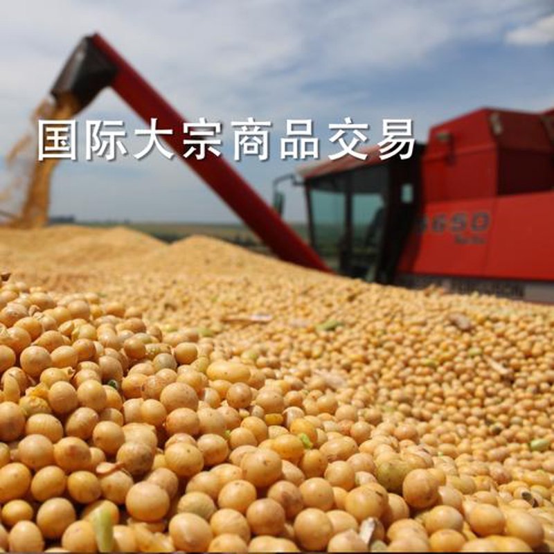 阳泉常青源——绿色矿山的先锋
