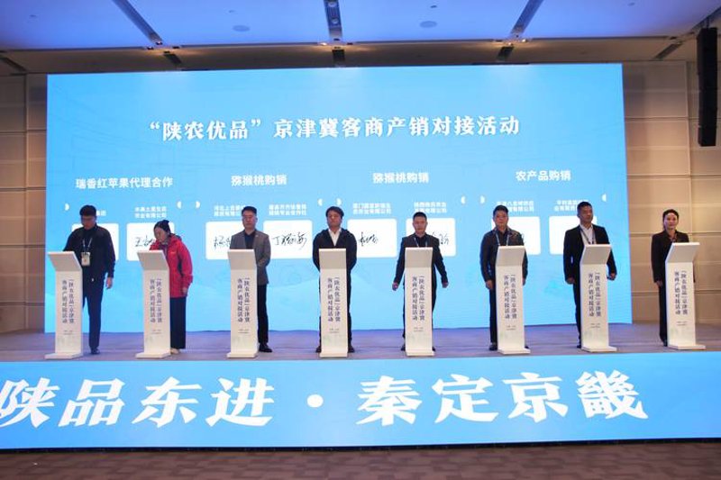 揭秘阳泉批发行业的高效运营之道